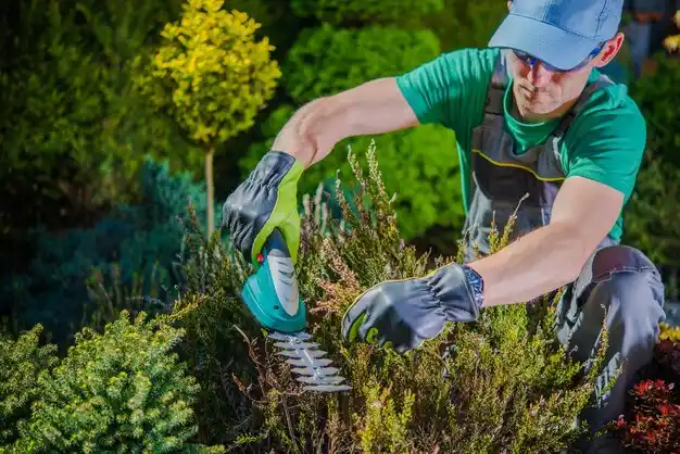 landscaping services Bettsville